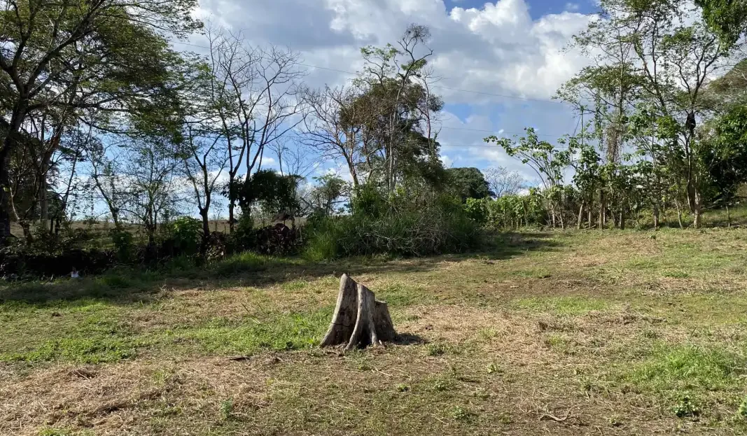 San Mateo For Sale 28380 | RE/MAX Costa Rica Real Estate