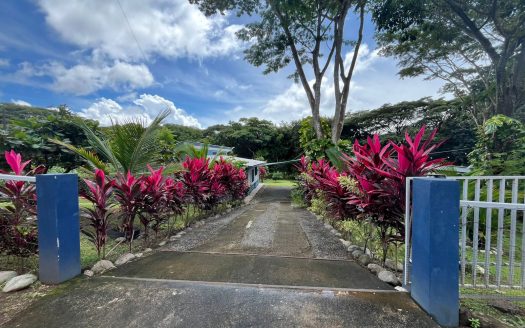 Beautiful House with Guest Apartment – San Mateo