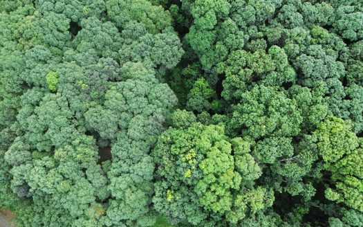 San Mateo For Sale 30234 | RE/MAX Costa Rica Real Estate