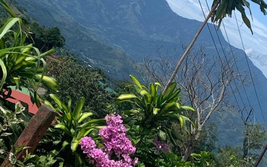 🏡 Property for Sale in Estanquillo 🌿