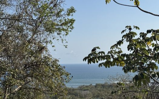 Stunning Ocean view lots in Camaronal Beach Guanacaste | REMAX