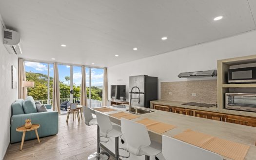 Ocean View Turnkey Investment | 3 Stunning Villas