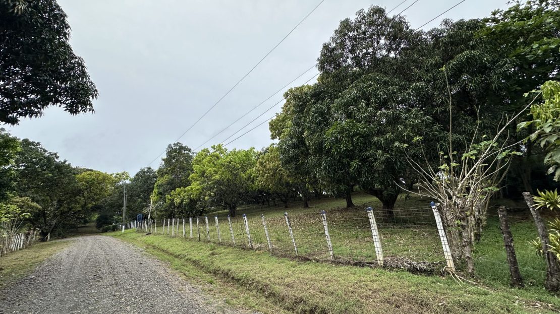 Turrubares For Sale 28490 | RE/MAX Costa Rica Real Estate