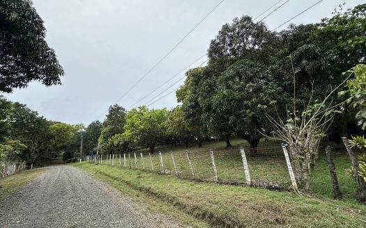 Turrubares For Sale 28490 | RE/MAX Costa Rica Real Estate