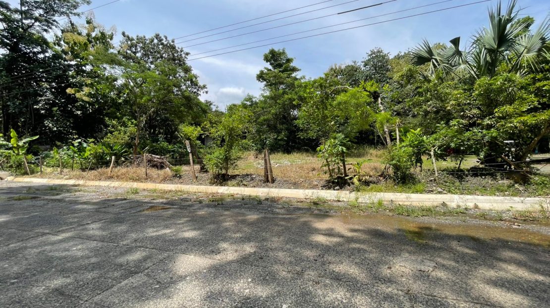 Turrubares For Sale 29759 | RE/MAX Costa Rica Real Estate