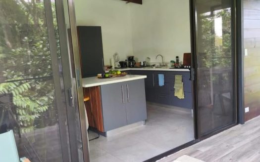 Mountain Property for Sale in Turrubares