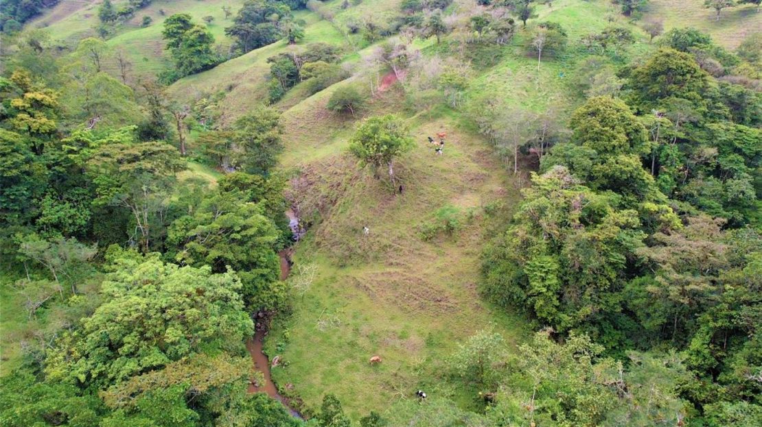 Costa Rica Real Estate