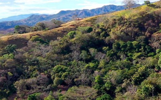 Finca de 13,269m2 con vistas grandes del mar y casita