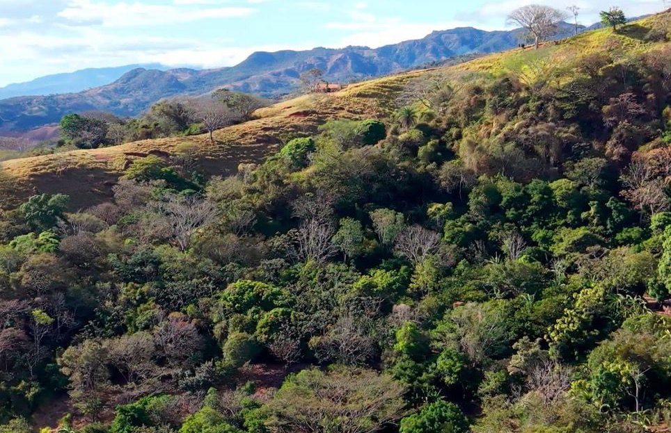 Costa Rica Real Estate