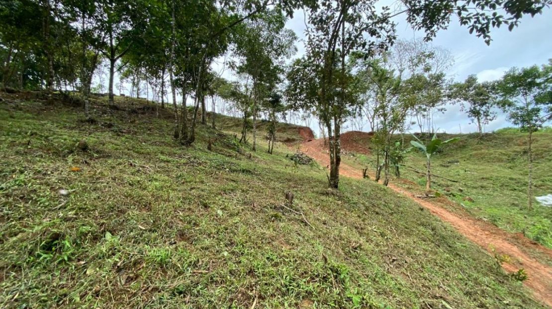 Costa Rica Real Estate