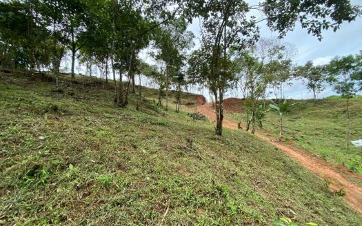 Property for Sale in Convento, Buenos Aires, Puntarenas-6,989 m² of Nature, Privacy and Investment Potential