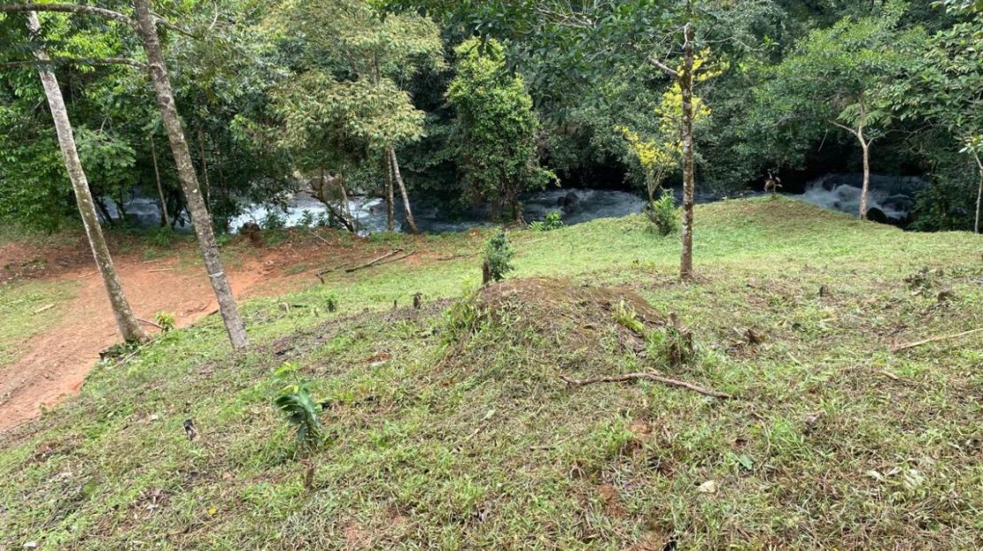 Privacy and Investment Potential