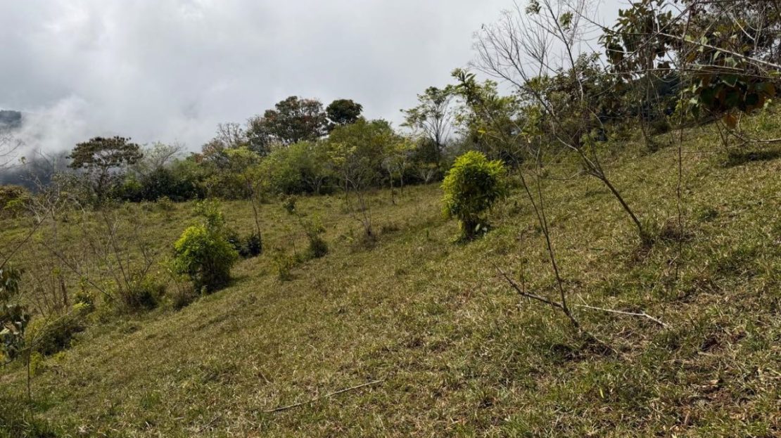 For Sale: 7-Acre Mountain Estate Just 25 Mins from the Pacific Coast