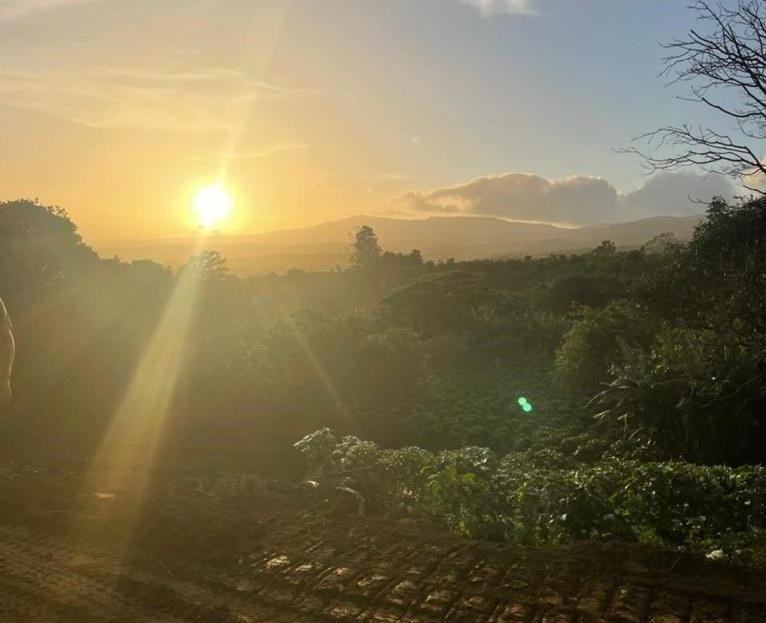 Costa Rica Real Estate