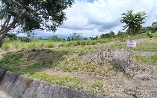 Lot for Sale in Grecia