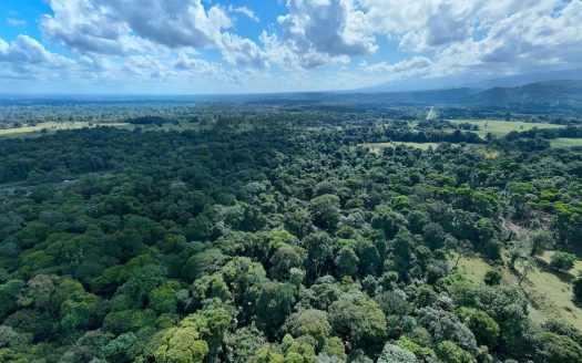 The Emerald Gateway: 11 Hectares of Virgin Rainforest Near San José