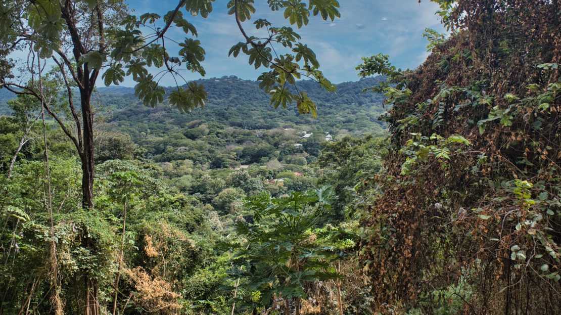 Nosara 🇨🇷 Guanacaste | REMAX