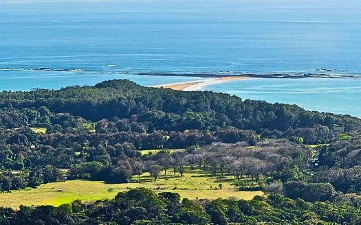 uvita