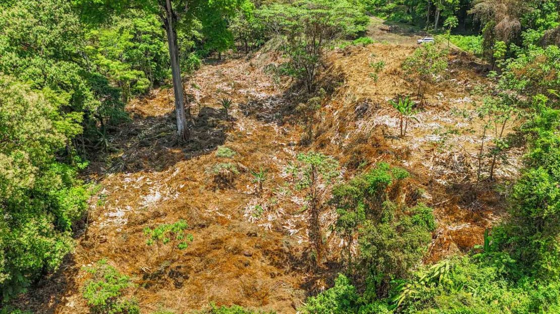 2.46 Acre Jungle Land for Sale in Ojochal with River Border
