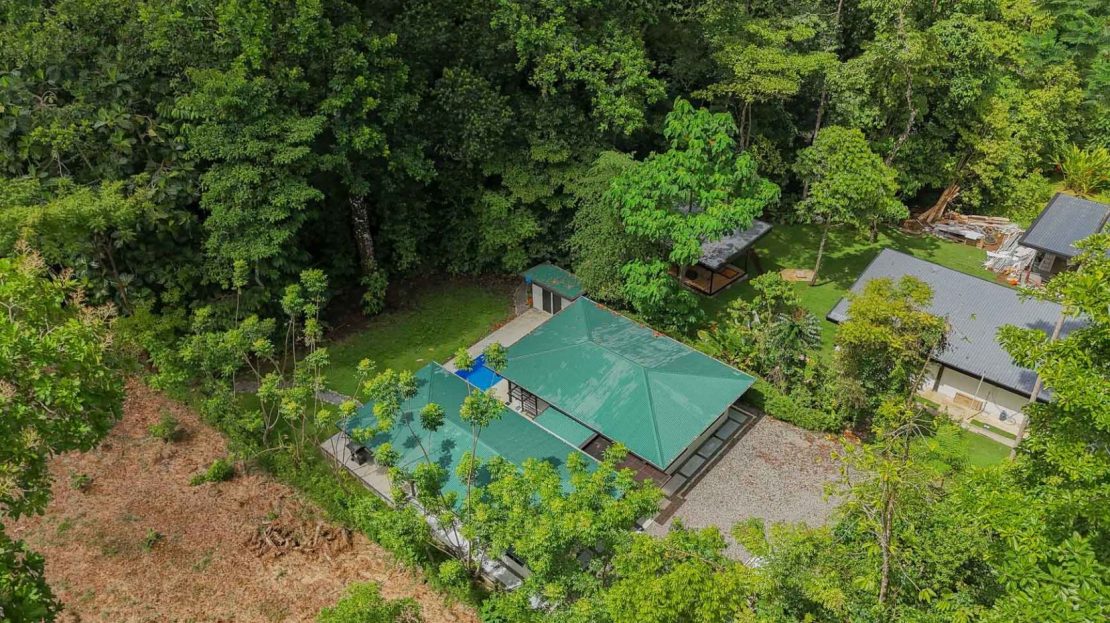 a Vibrant Mountain River and Wild Jungle Trails