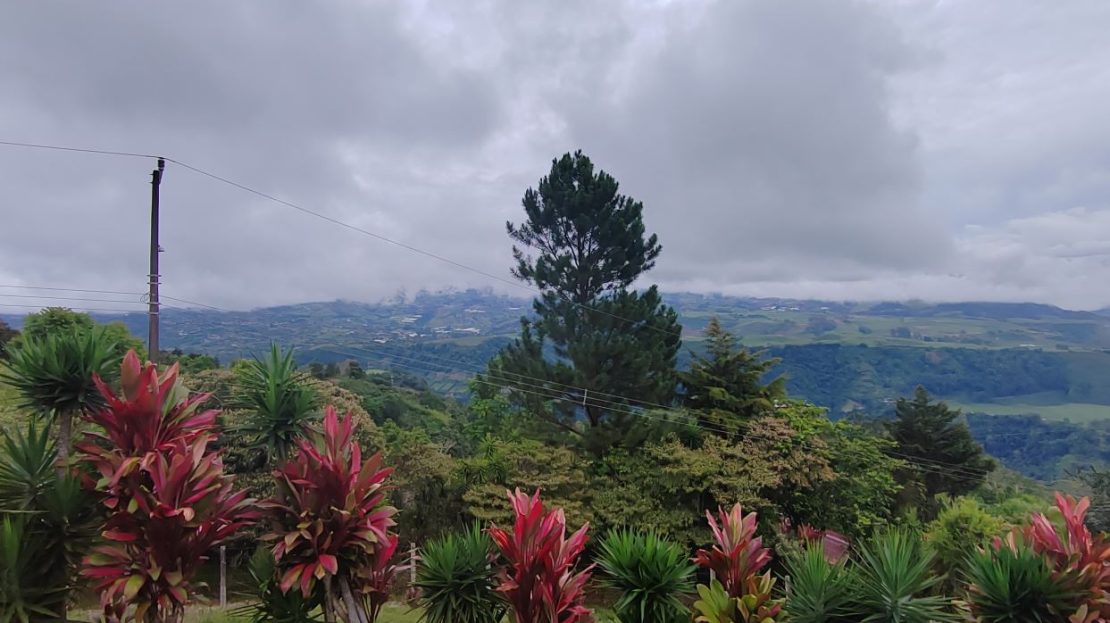 suitable for building a cabin or house