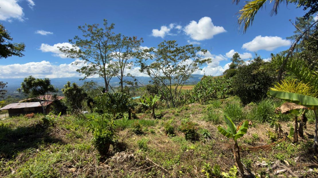 Lot for Sale with nice Views in Miravalles Perez Zeledon