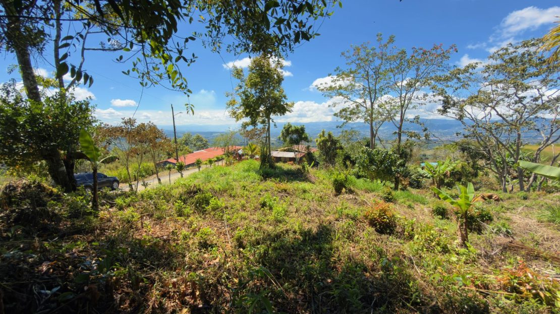 Costa Rica Real Estate