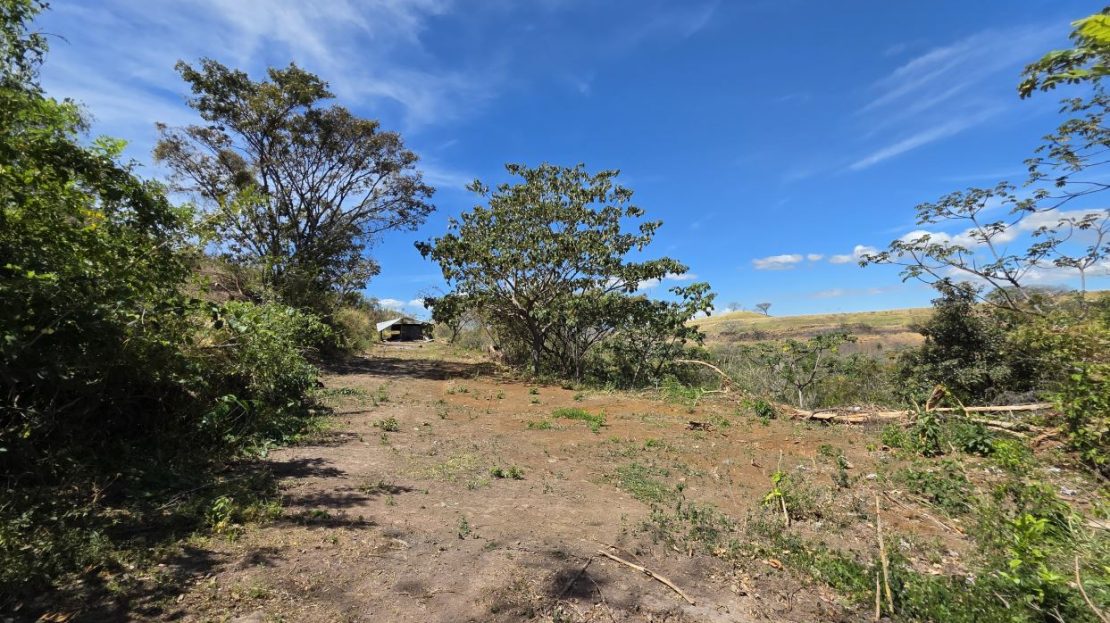 Costa Rica Real Estate