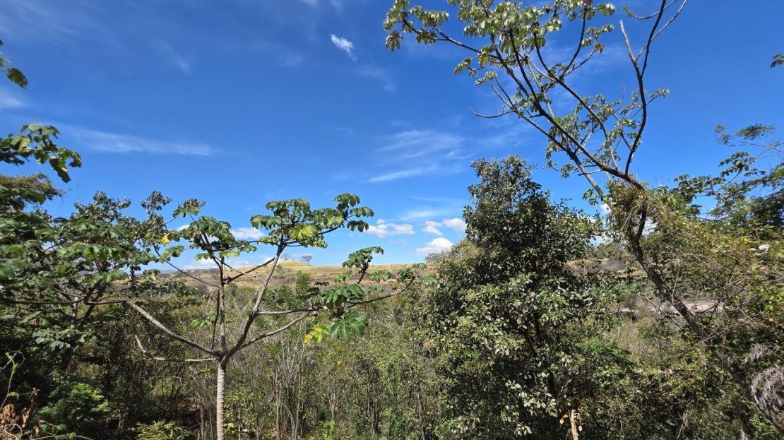 Appreciation and Potential