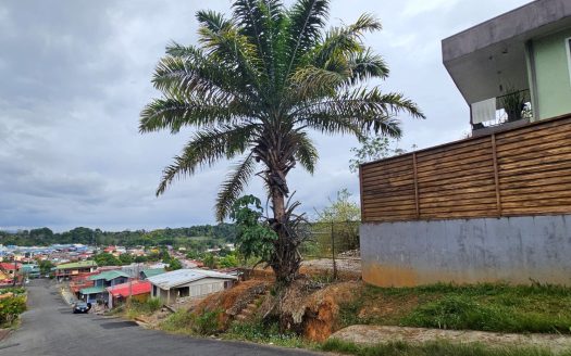 Elevated 111m² Lot in San Isidro, Perez Zeledon | Urban Views & Ready to Build