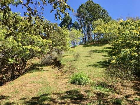 17,469m2 with private well adjacent Picaflora - El Guizaro, Atenas, Alajuela