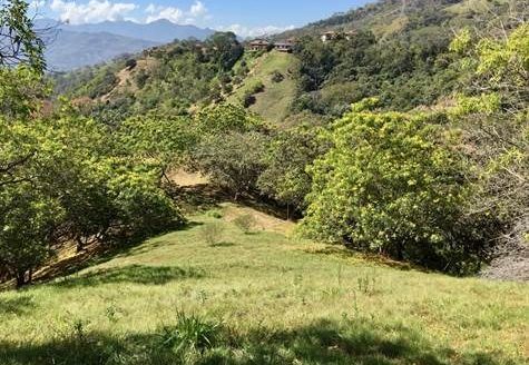 17,469m2 with private well adjacent Picaflora – El Guizaro, Atenas, Alajuela