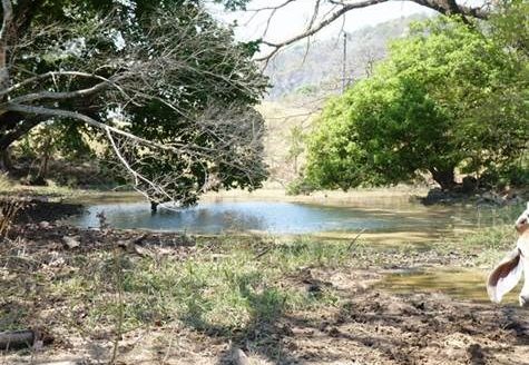 39 Hec. close to 27 ideal for private project