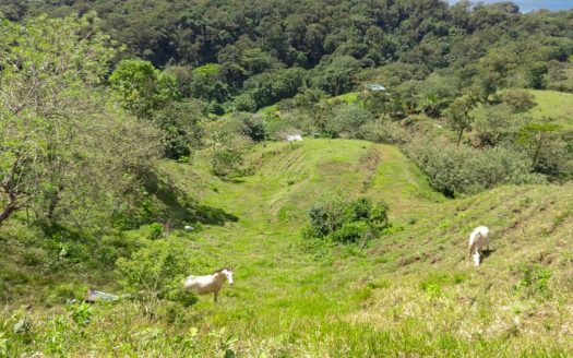 Building lot in Nuevo Arenal