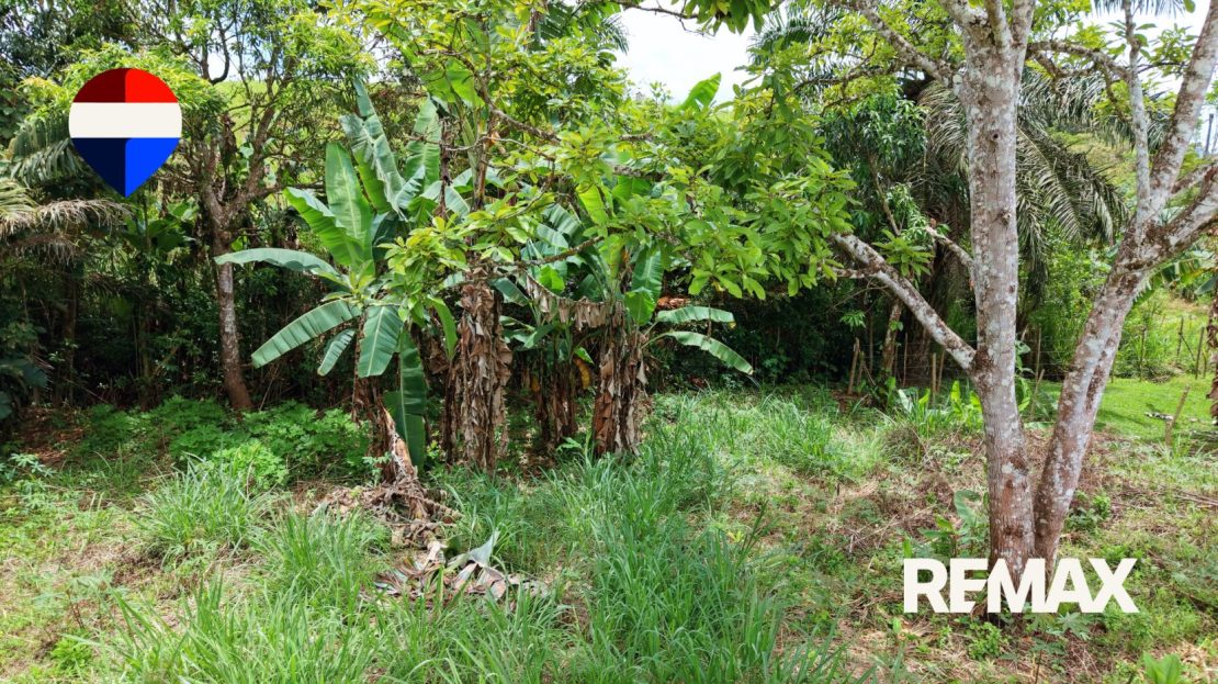 Pérez Zeledón – 1