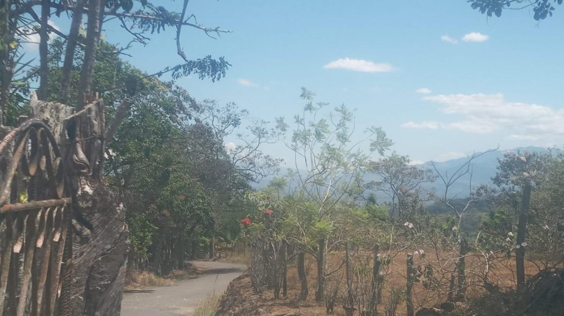 Farm in cool area of Atenas with view  - Alto Del Monte