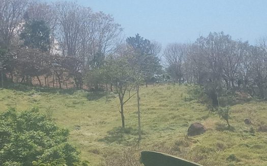 Farm in cool area of Atenas with view – Alto Del Monte, Atenas, Alajuela