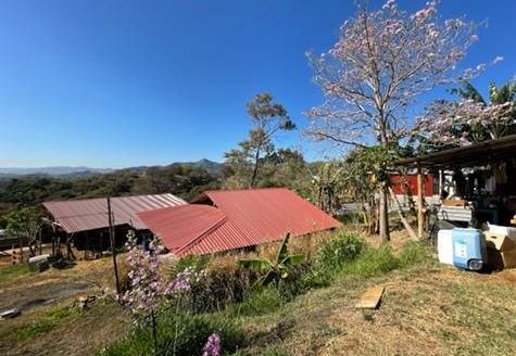 38,334m2 functioning farm with home and stables