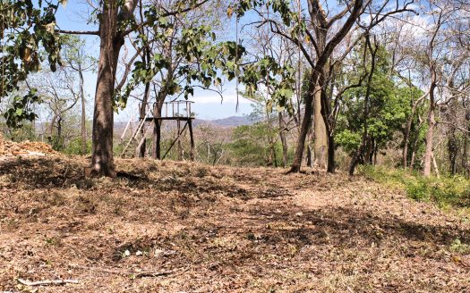 5,170 m² Estate in Nosara – Privacy, Space, and Sea View