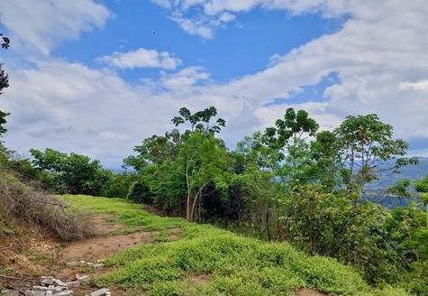 Big view lot in nature in gated community of Atenas