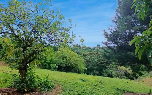 Property for Sale in Cirrí, Naranjo