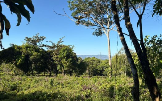 Land For Sale 1.8 Hectares Fully Serviced & Nature-Surrounded in Quizarra Ready to Build