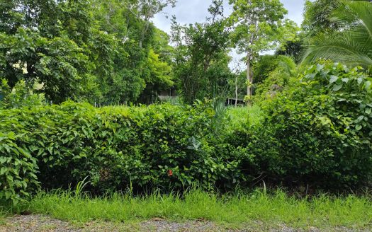 VACANT LOT PLAYA TIVIVES – PUNTARENAS