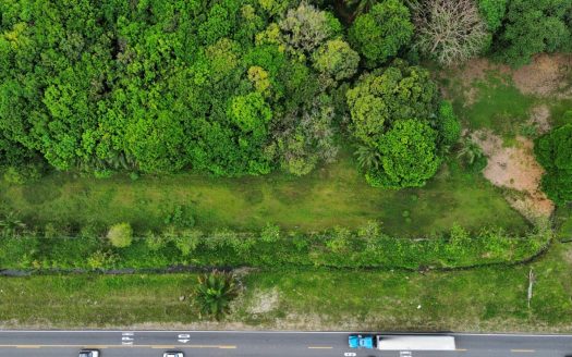 Strategic Investment: 8,400 m² Prime Commercial Land on the Inter-American Highway