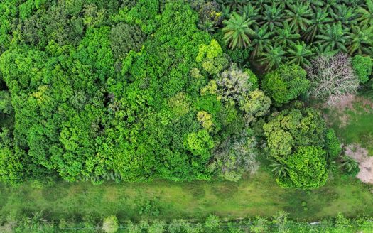 Corredores>Corredor Real Estate Listings 30627