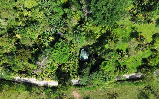 Coto Brus Real Estate Listings 30561