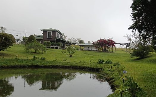 Coto Brus Real Estate Listings 30681