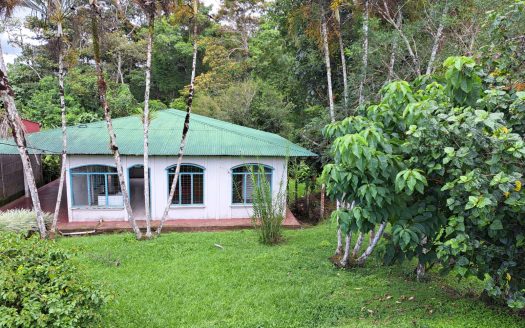 Coto Brus>San Vito Real Estate Listings 29938