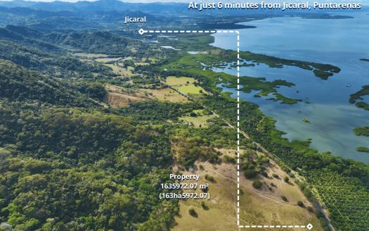 163.59 Hectare Agricultural Farm with Well, Ocean Views & Protected Forest