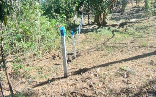 Ocean View Lot for Sale – Quintas Esencia Condominium, Esparza